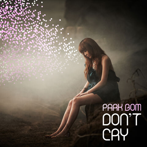 Archivo:DON'T CRY.jpg