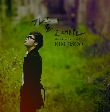 Archivo:KimJiSooAutumnComes.jpg