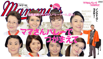 400px-MsVdT-banner.jpg