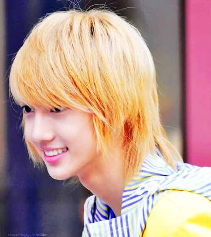 Archivo:Young-min-boyfriend-24717241-500-564.jpg