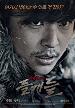 Wild Dogs2013
