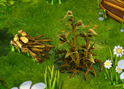 Brushwood resource