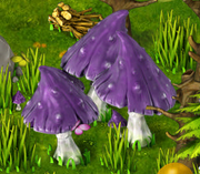 Mushrooms resource