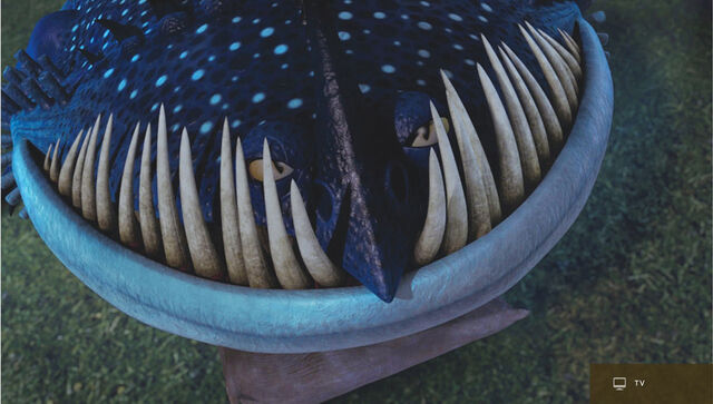 File:Thunderdrum1.jpg