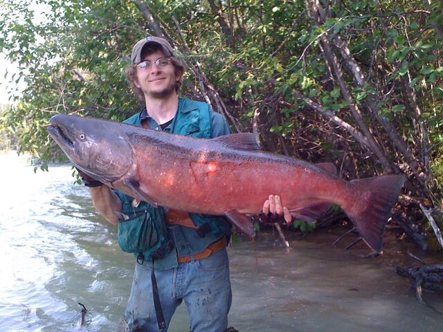 File:COOLBIGFISHWILDWESTALASKA.jpg