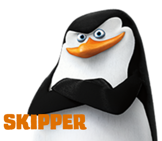 File:Skipico.png