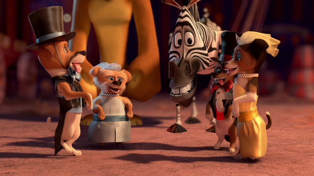 File:Madagascar3-disneyscreencaps.com-3715.jpg