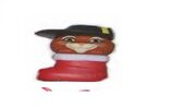 PIB 3