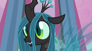 Queen Chrysalis