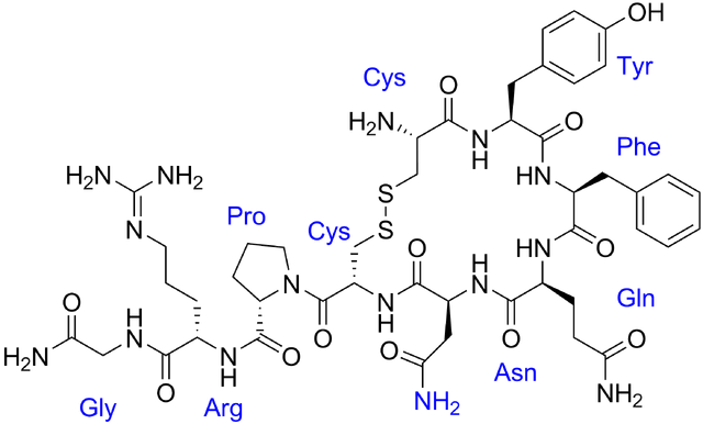 Datei:Vasopressin labeled.png
