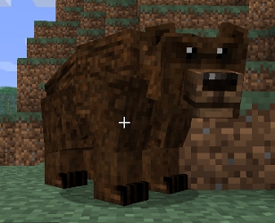 File:Brown Bear.jpg