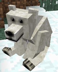 File:Polar Bear.jpg