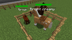 Horse love mode