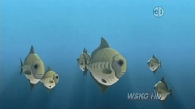 File:Fish.png