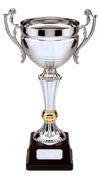 Quuidditch Cup