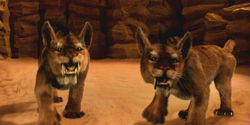 Laza tigers 2003.png