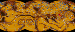 Dune map names.png