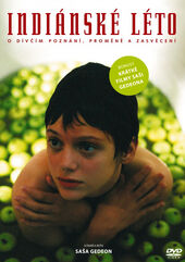 Indianske leto cover