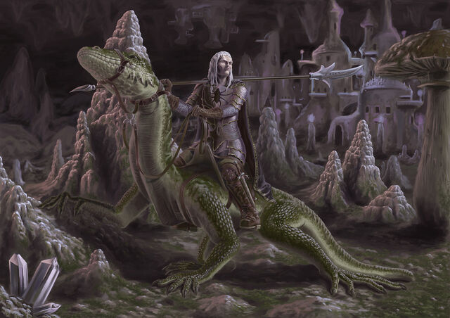 File:DrowGuard.jpg
