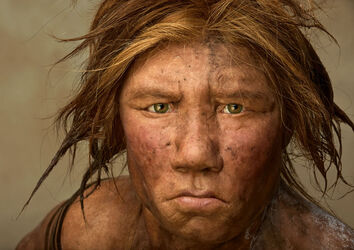 Neanderthal-615