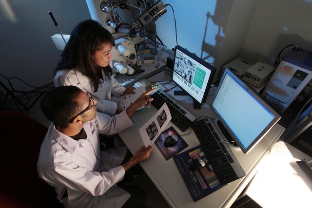 File:Lab-385348 1920.jpg