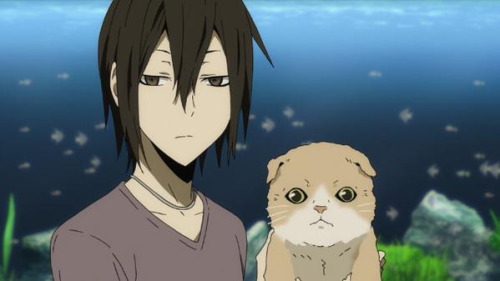 File:Kasuka cat.jpg