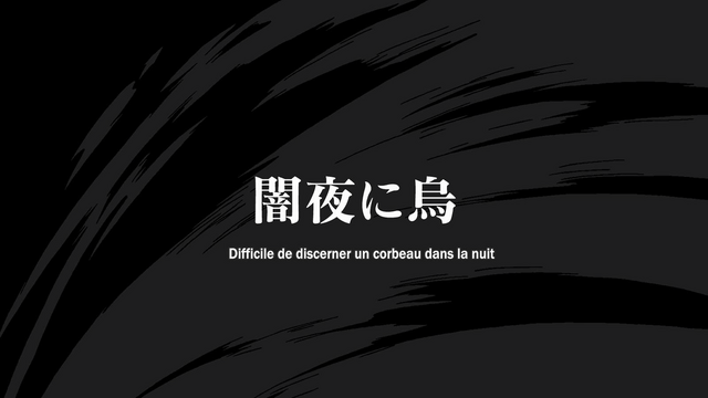 Fichier:Difficile de discerner un corbeau dans la nuit.png