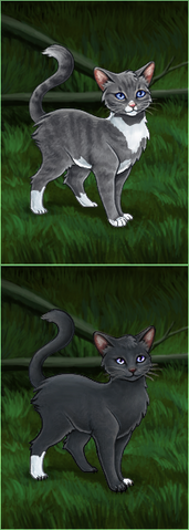 File:Shadowheart - Jaggedstar.png