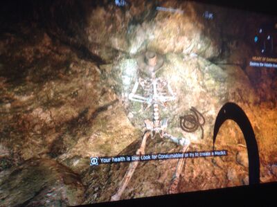 Dying light