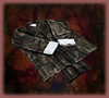 Master’s Cloak (DW3)