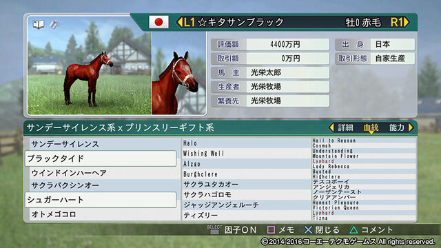 File:Horsedirect4-wp82016dlc.jpg
