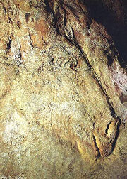 Cheval-detail-bas-relief-delluc
