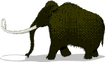Mammoth