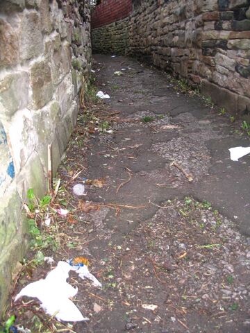 File:Litter-alley.jpg