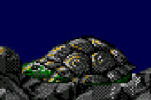 File:Big turtle.png