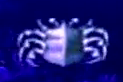 Crab