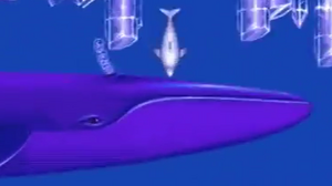 Ecco1bigblue