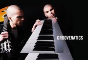 Groovenatics