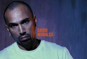 David Morales