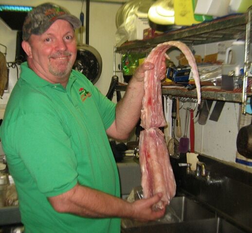 File:CajunConnection1.jpg
