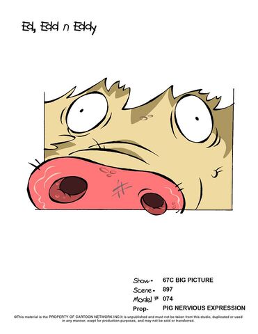 File:Pig Nervous Expression.jpg