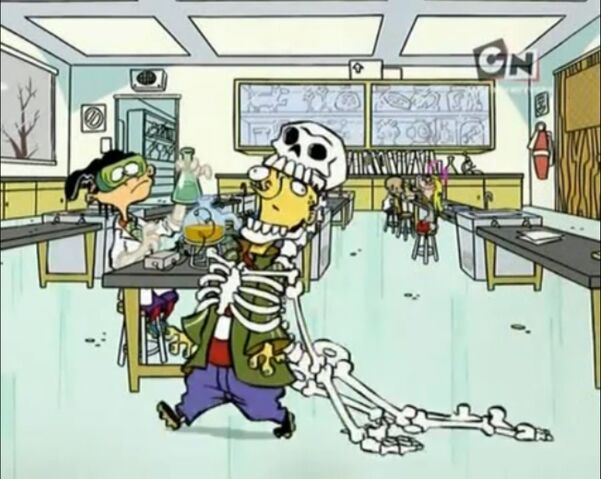 File:Skeleton Ed.jpg