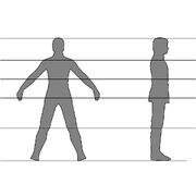 Reference