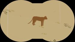 Eidolon cougar