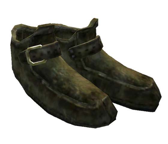 File:Buckled Shoes.png