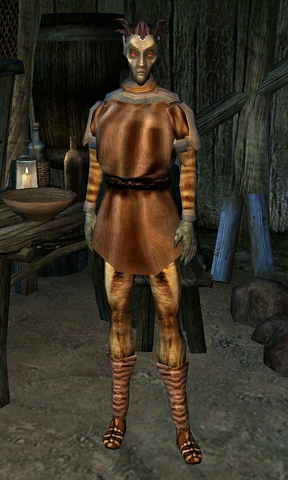 File:Miron Garer.png