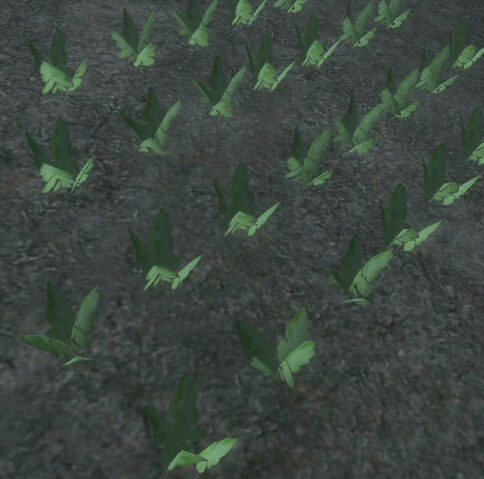 File:Radish.jpg