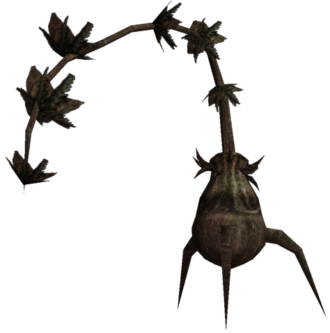 File:Morrowind Bittergreen plant.png