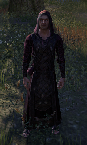 File:Brother Gordon.png