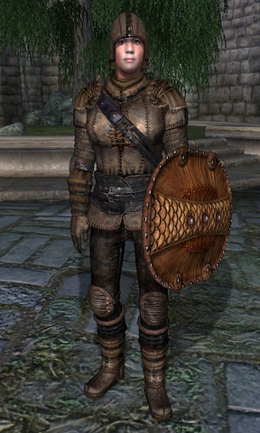 File:Leather Armor (Oblivion).png